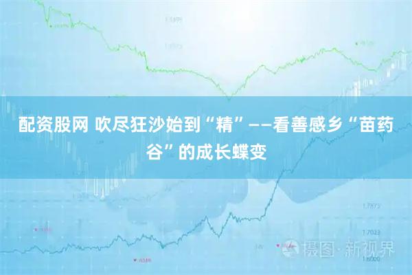 配资股网 吹尽狂沙始到“精”——看善感乡“苗药谷”的成长蝶变
